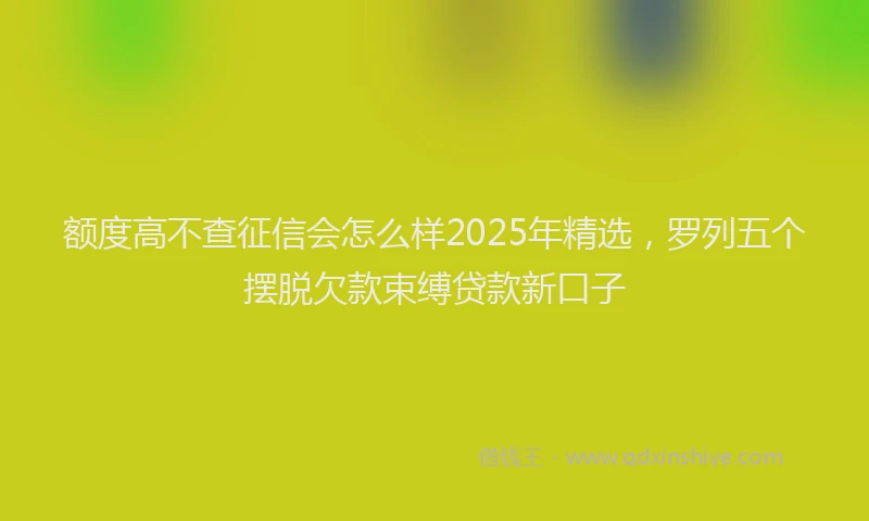 额度高不查征信会怎么样2025年精选，罗列五个摆脱欠款束缚贷款新口子