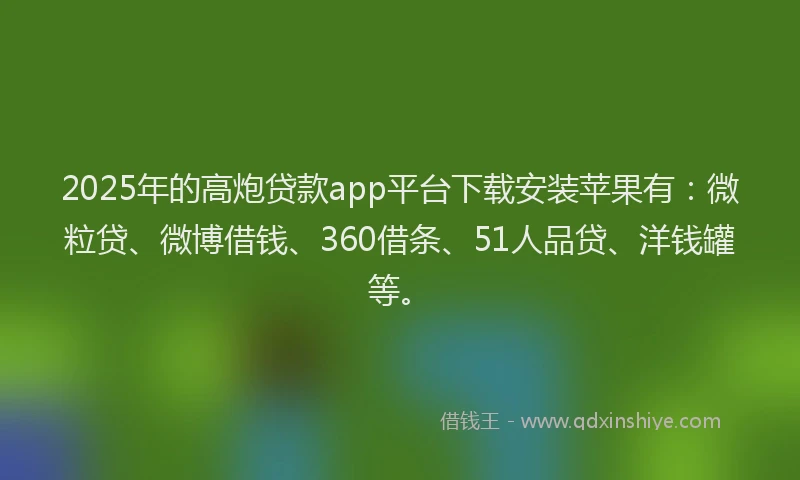 2025年的高炮贷款app平台下载安装苹果有：微粒贷、微博借钱、360借条、51人品贷、洋钱罐等。