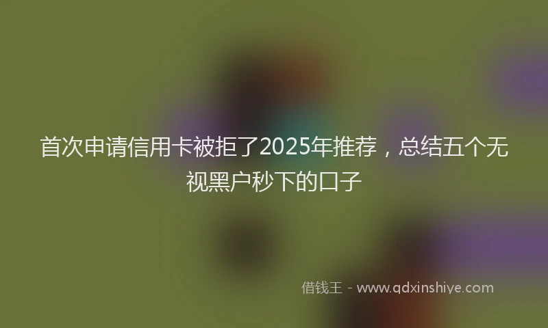 首次申请信用卡被拒了2025年推荐，总结五个无视黑户秒下的口子