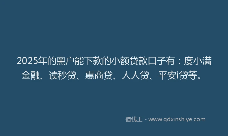 2025年的黑户能下款的小额贷款口子有：度小满金融、读秒贷、惠商贷、人人贷、平安i贷等。