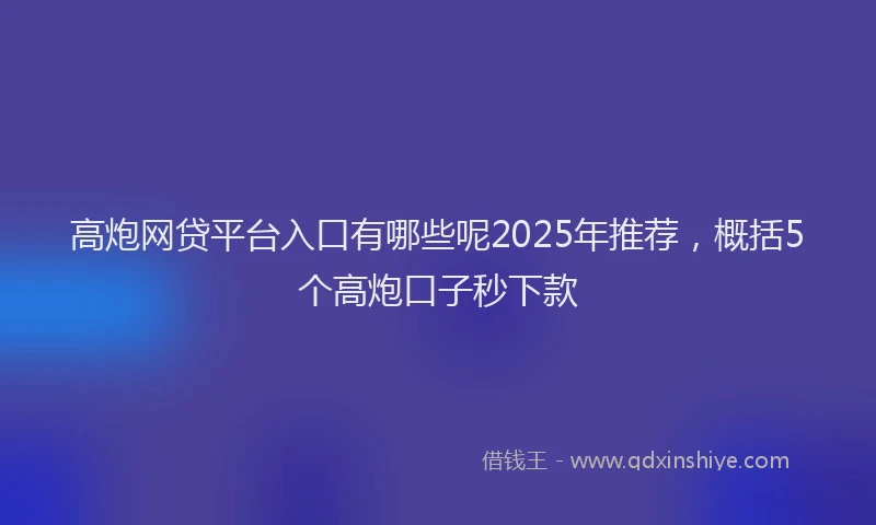 高炮网贷平台入口有哪些呢2025年推荐，概括5个高炮口子秒下款