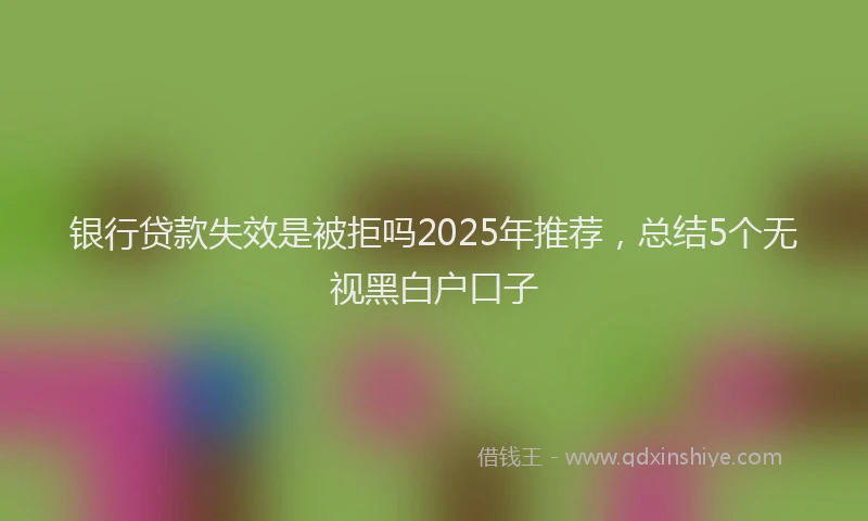 银行贷款失效是被拒吗2025年推荐，总结5个无视黑白户口子