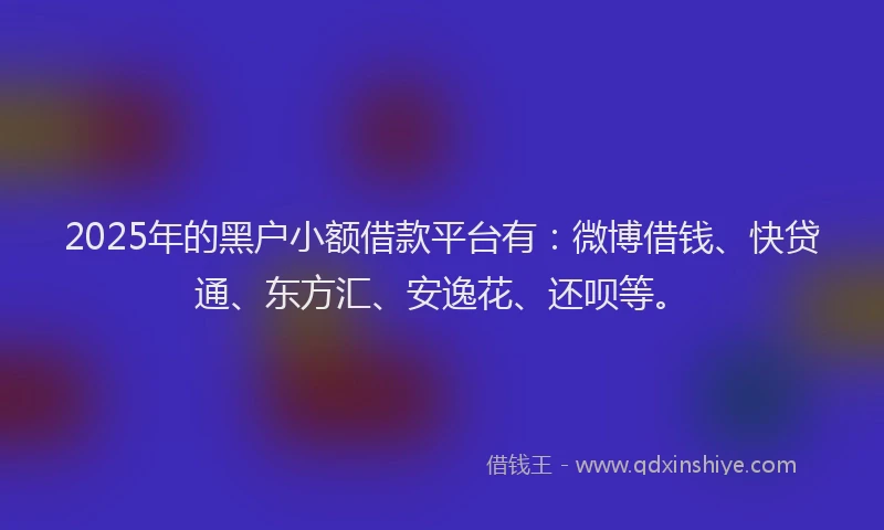 2025年的黑户小额借款平台有：微博借钱、快贷通、东方汇、安逸花、还呗等。