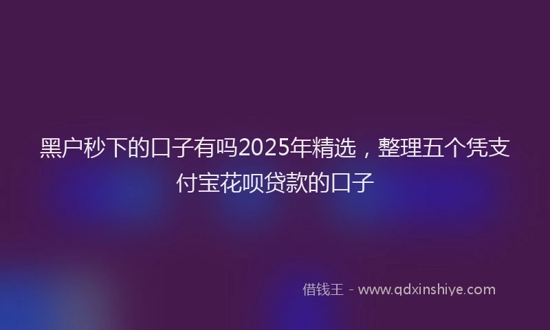 黑户秒下的口子有吗2025年精选，整理五个凭支付宝花呗贷款的口子