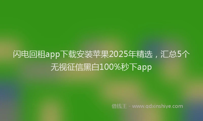 闪电回租app下载安装苹果2025年精选，汇总5个无视征信黑白100%秒下app