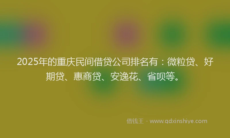 2025年的重庆民间借贷公司排名有：微粒贷、好期贷、惠商贷、安逸花、省呗等。