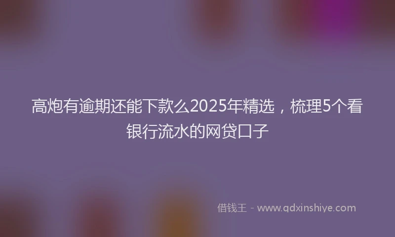 高炮有逾期还能下款么2025年精选，梳理5个看银行流水的网贷口子