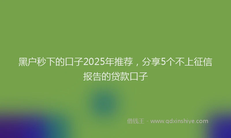 黑户秒下的口子2025年推荐，分享5个不上征信报告的贷款口子