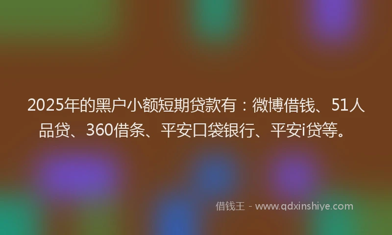 2025年的黑户小额短期贷款有：微博借钱、51人品贷、360借条、平安口袋银行、平安i贷等。