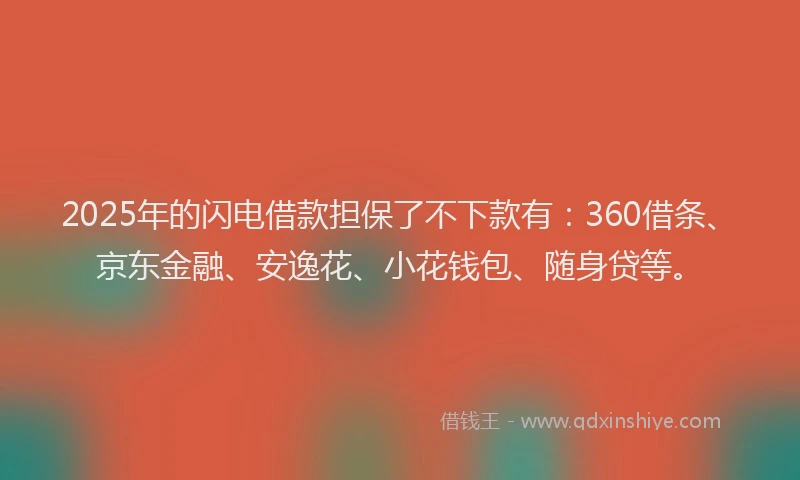 2025年的闪电借款担保了不下款有：360借条、京东金融、安逸花、小花钱包、随身贷等。