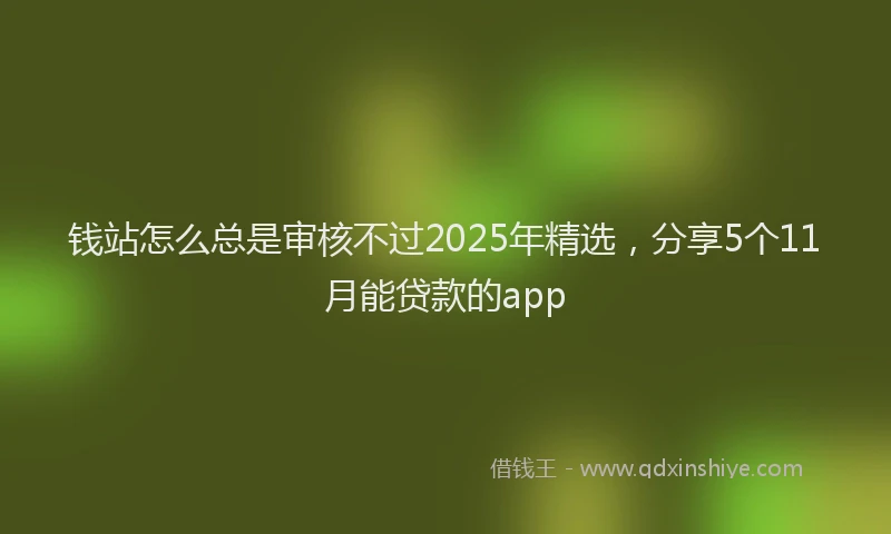 钱站怎么总是审核不过2025年精选，分享5个11月能贷款的app