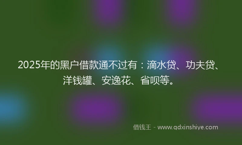 2025年的黑户借款通不过有：滴水贷、功夫贷、洋钱罐、安逸花、省呗等。