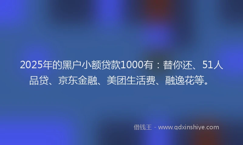 2025年的黑户小额贷款1000有：替你还、51人品贷、京东金融、美团生活费、融逸花等。