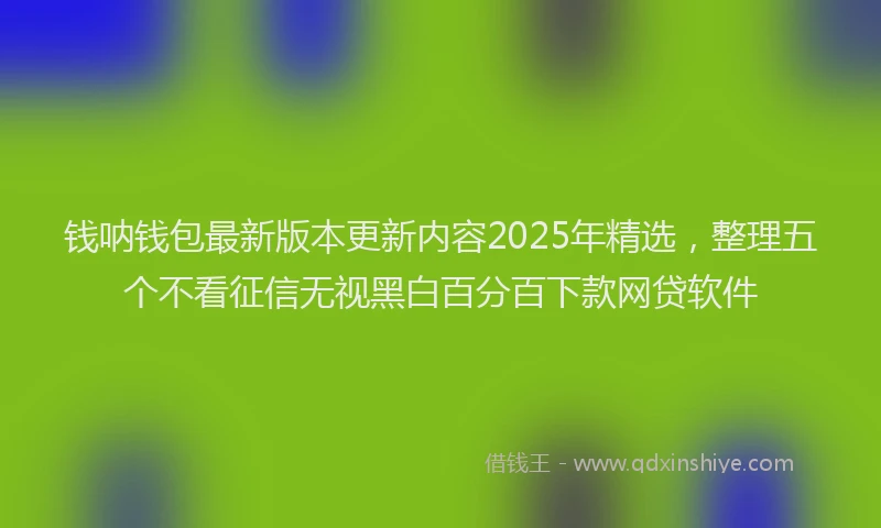 钱呐钱包最新版本更新内容2025年精选，整理五个不看征信无视黑白百分百下款网贷软件