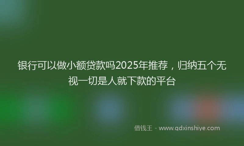 银行可以做小额贷款吗2025年推荐，归纳五个无视一切是人就下款的平台