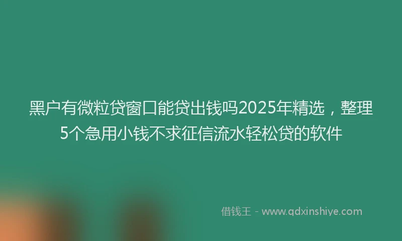 黑户有微粒贷窗口能贷出钱吗2025年精选，整理5个急用小钱不求征信流水轻松贷的软件