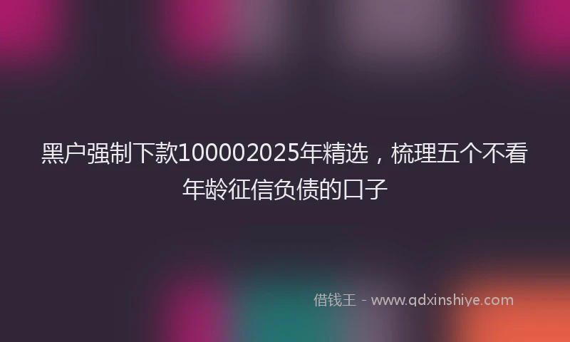 黑户强制下款100002025年精选，梳理五个不看年龄征信负债的口子