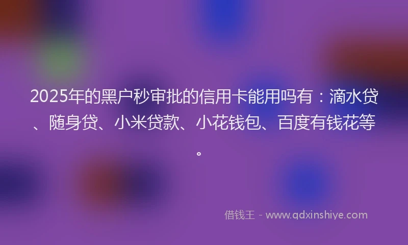 2025年的黑户秒审批的信用卡能用吗有：滴水贷、随身贷、小米贷款、小花钱包、百度有钱花等。