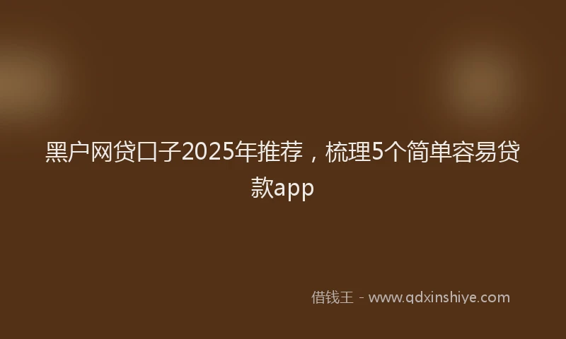 黑户网贷口子2025年推荐，梳理5个简单容易贷款app