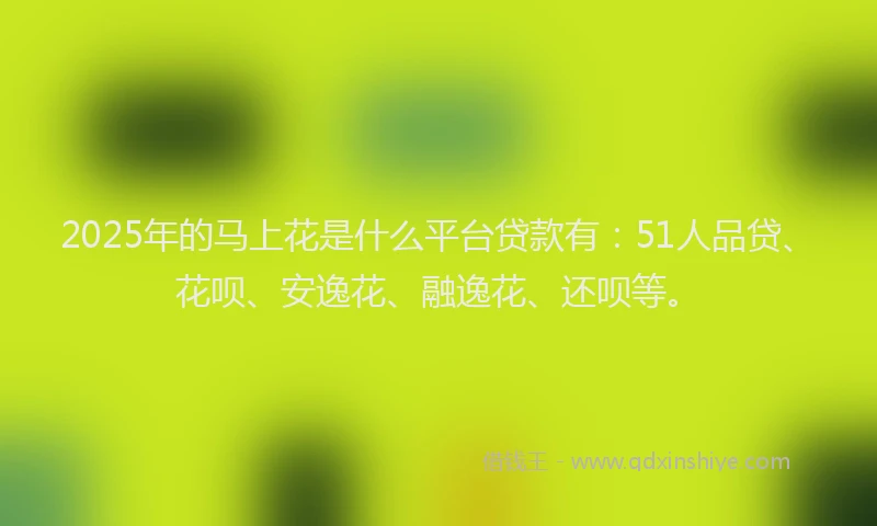 2025年的马上花是什么平台贷款有：51人品贷、花呗、安逸花、融逸花、还呗等。