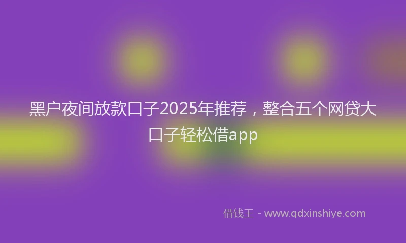黑户夜间放款口子2025年推荐，整合五个网贷大口子轻松借app