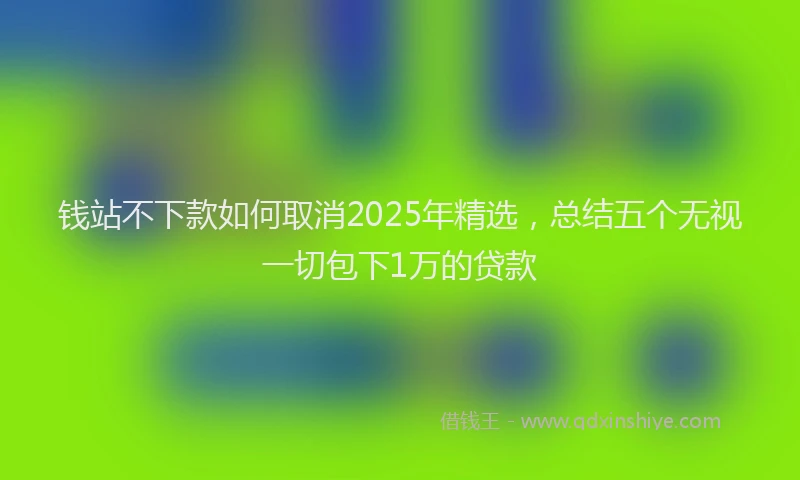 钱站不下款如何取消2025年精选，总结五个无视一切包下1万的贷款