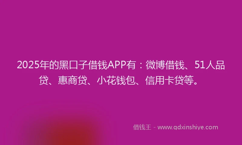 2025年的黑口子借钱APP有：微博借钱、51人品贷、惠商贷、小花钱包、信用卡贷等。