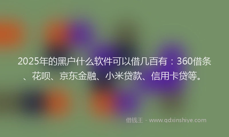 2025年的黑户什么软件可以借几百有：360借条、花呗、京东金融、小米贷款、信用卡贷等。
