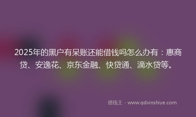 2025年的黑户有呆账还能借钱吗怎么办有：惠商贷、安逸花、京东金融、快贷通、滴水贷等。