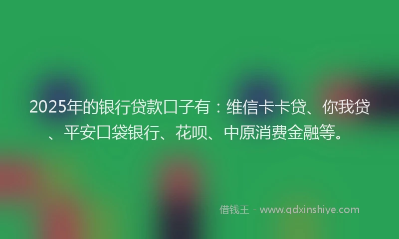 2025年的银行贷款口子有：维信卡卡贷、你我贷、平安口袋银行、花呗、中原消费金融等。
