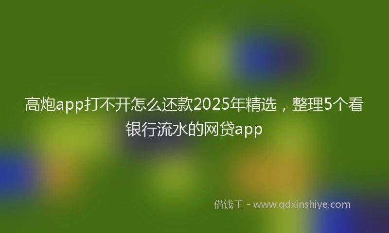 高炮app打不开怎么还款2025年精选，整理5个看银行流水的网贷app