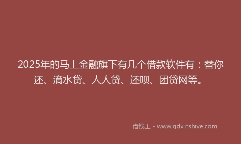 2025年的马上金融旗下有几个借款软件有：替你还、滴水贷、人人贷、还呗、团贷网等。