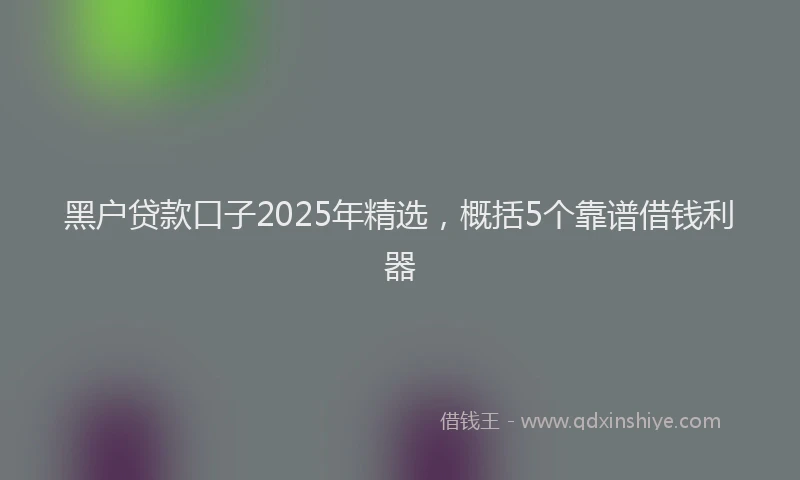 黑户贷款口子2025年精选，概括5个靠谱借钱利器