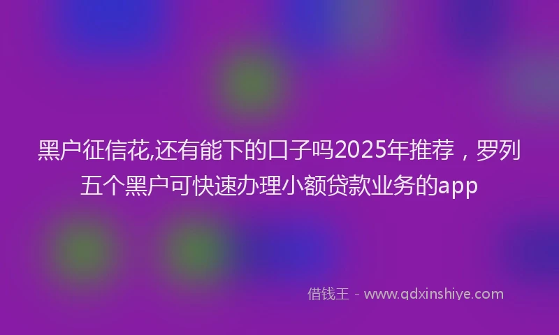 黑户征信花,还有能下的口子吗2025年推荐，罗列五个黑户可快速办理小额贷款业务的app