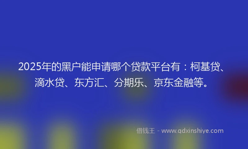 2025年的黑户能申请哪个贷款平台有：柯基贷、滴水贷、东方汇、分期乐、京东金融等。