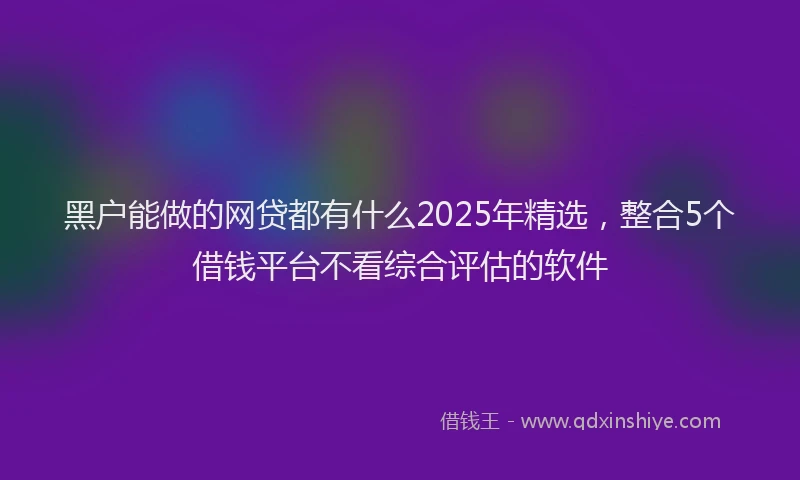 黑户能做的网贷都有什么2025年精选，整合5个借钱平台不看综合评估的软件