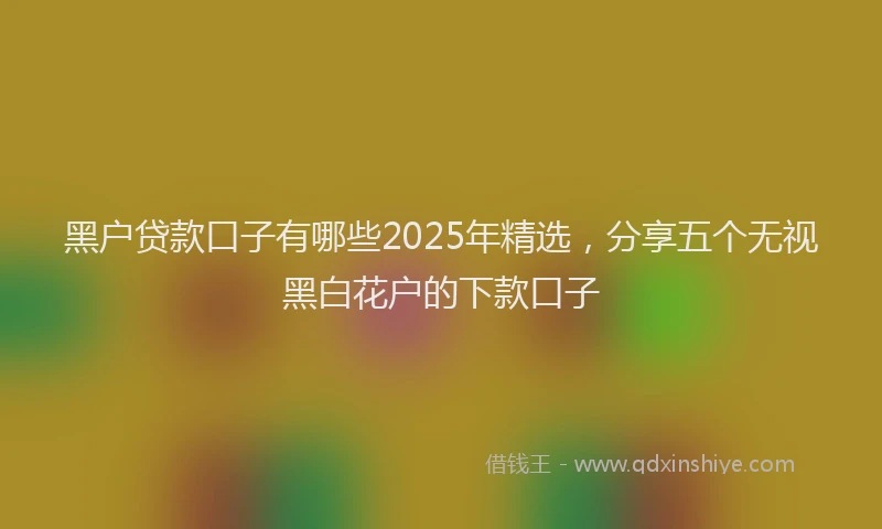 黑户贷款口子有哪些2025年精选，分享五个无视黑白花户的下款口子