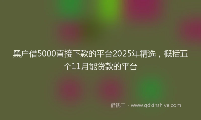 黑户借5000直接下款的平台2025年精选，概括五个11月能贷款的平台