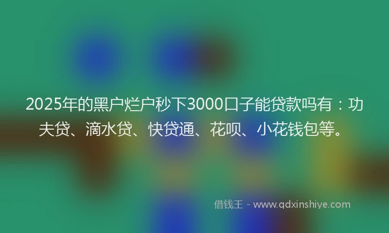 2025年的黑户烂户秒下3000口子能贷款吗有：功夫贷、滴水贷、快贷通、花呗、小花钱包等。