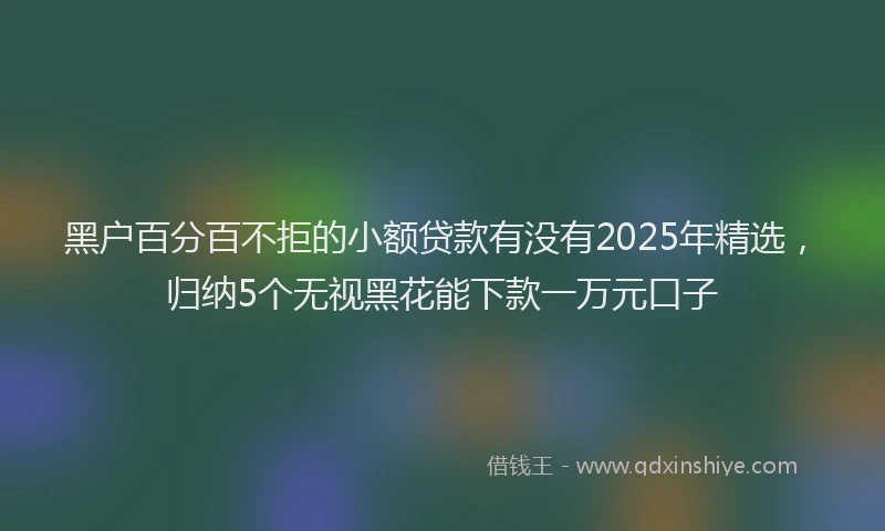 黑户百分百不拒的小额贷款有没有2025年精选，归纳5个无视黑花能下款一万元口子