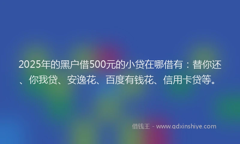 2025年的黑户借500元的小贷在哪借有：替你还、你我贷、安逸花、百度有钱花、信用卡贷等。
