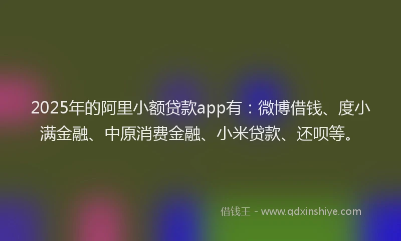 2025年的阿里小额贷款app有：微博借钱、度小满金融、中原消费金融、小米贷款、还呗等。
