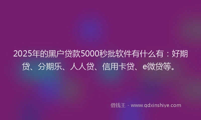 2025年的黑户贷款5000秒批软件有什么有：好期贷、分期乐、人人贷、信用卡贷、e微贷等。
