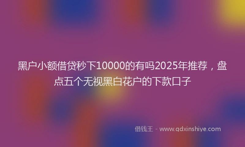 黑户小额借贷秒下10000的有吗2025年推荐，盘点五个无视黑白花户的下款口子