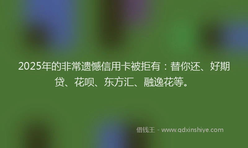 2025年的非常遗憾信用卡被拒有：替你还、好期贷、花呗、东方汇、融逸花等。
