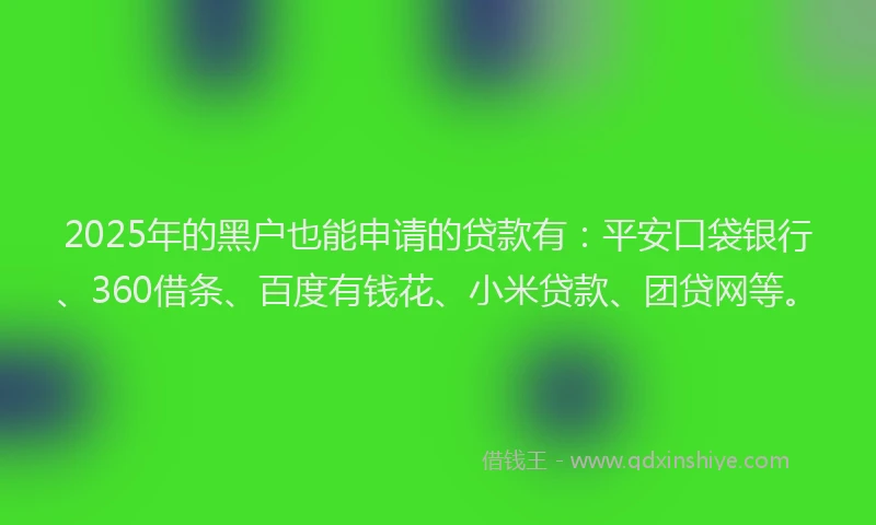 2025年的黑户也能申请的贷款有：平安口袋银行、360借条、百度有钱花、小米贷款、团贷网等。