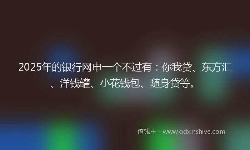 2025年的银行网申一个不过有：你我贷、东方汇、洋钱罐、小花钱包、随身贷等。