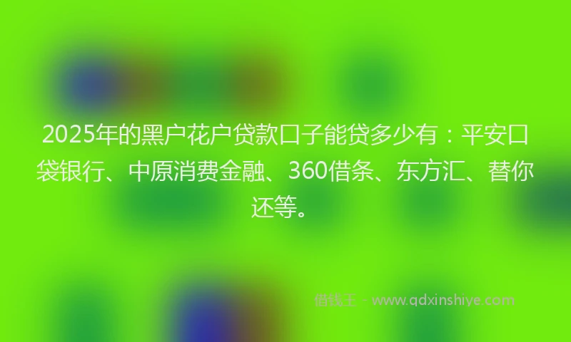 2025年的黑户花户贷款口子能贷多少有：平安口袋银行、中原消费金融、360借条、东方汇、替你还等。