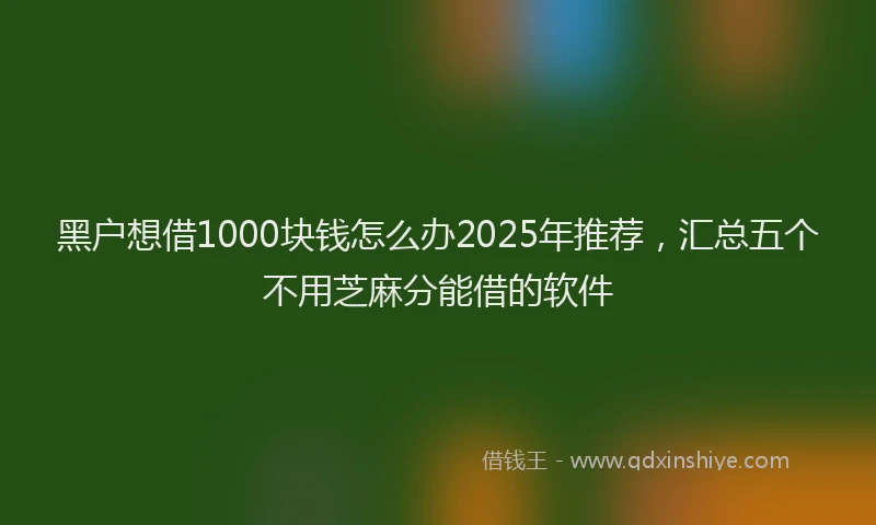 黑户想借1000块钱怎么办2025年推荐，汇总五个不用芝麻分能借的软件