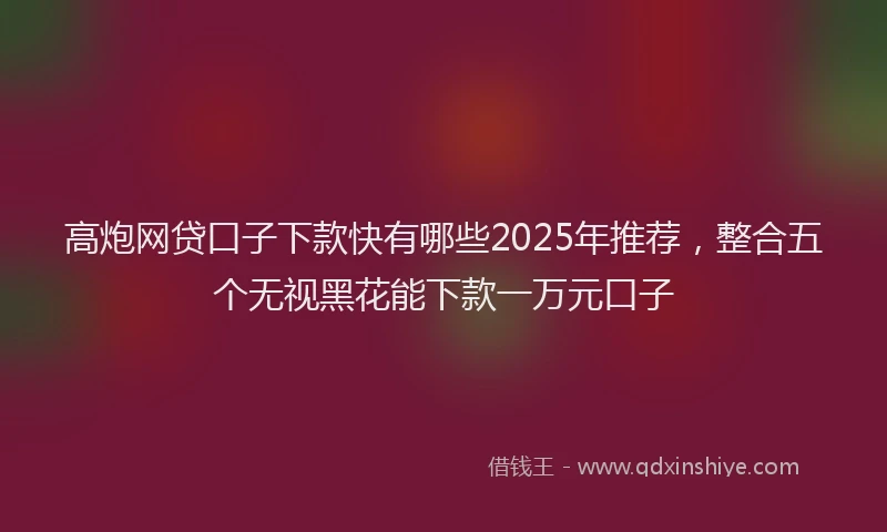 高炮网贷口子下款快有哪些2025年推荐，整合五个无视黑花能下款一万元口子
